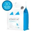 Boxiecat Premium Unscented Clumping Clay Cat Litter -Cat Supply Store 103571 MAIN. AC SS1800 V1646152312