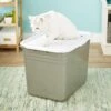 Petmate Top Entry Litter Pan -Cat Supply Store 105471 MAIN. AC SS1800 V1565284745