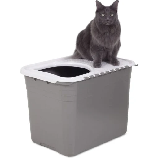 Petmate Top Entry Litter Pan -Cat Supply Store 105471 PT4. AC SS1800 V1536765248