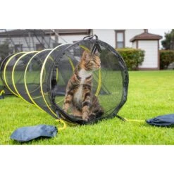 Outback Jack Kitty Compound Cat Playpen Tent & Tunnel -Cat Supply Store 111178 PT4. AC SS1800 V1561727244