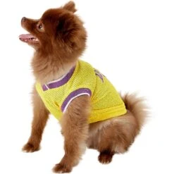 Pets First NBA Dog & Cat Mesh Jersey -Cat Supply Store 111989 PT3. AC SS1800 V1539982969