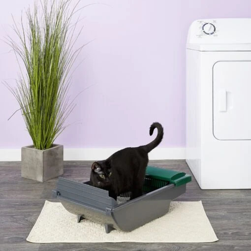 Pet Zone Smart Scoop Automatic Self-Cleaning Cat Litter Box -Cat Supply Store 115602 MAIN. AC SS1800 V1565284774