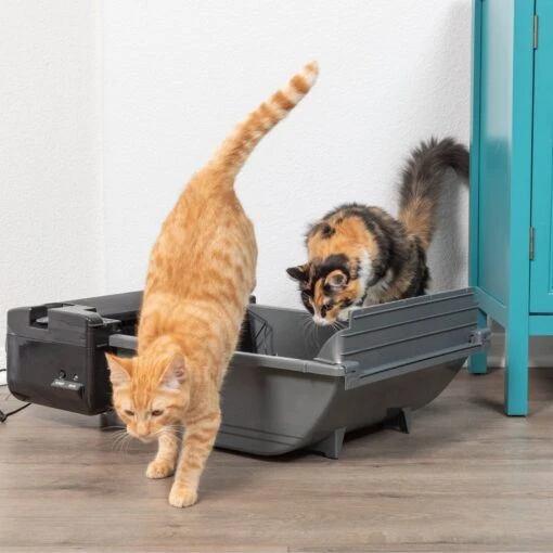 Pet Zone Smart Scoop Automatic Self-Cleaning Cat Litter Box -Cat Supply Store 115602 PT7. AC SS1800 V1639015418