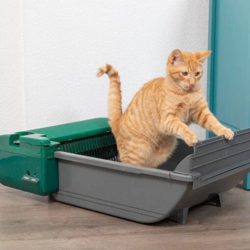 Pet Zone Smart Scoop Automatic Self-Cleaning Cat Litter Box -Cat Supply Store 115602 PT8. AC SS1800 V1639017709