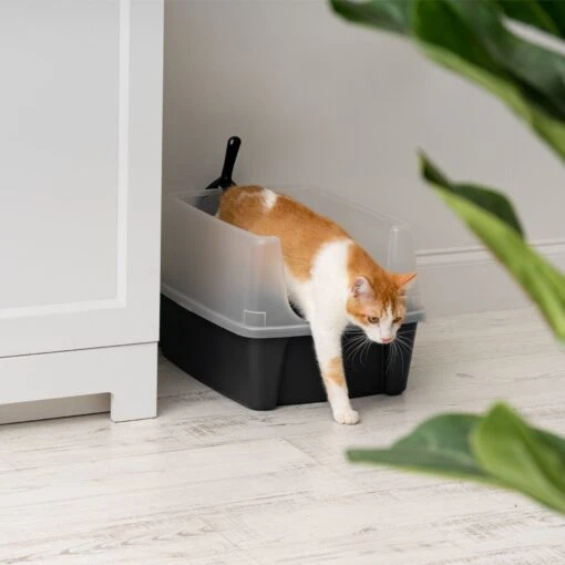 IRIS USA Open Top Litter Box With Scatter Shield & Scoop -Cat Supply Store 116462 PT6. AC SS1800 V1680809081