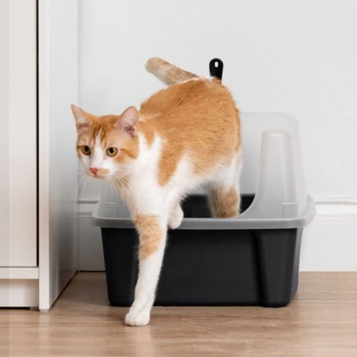 IRIS USA Open Top Litter Box With Scatter Shield & Scoop -Cat Supply Store 116462 PT7. AC SS1800 V1680808961