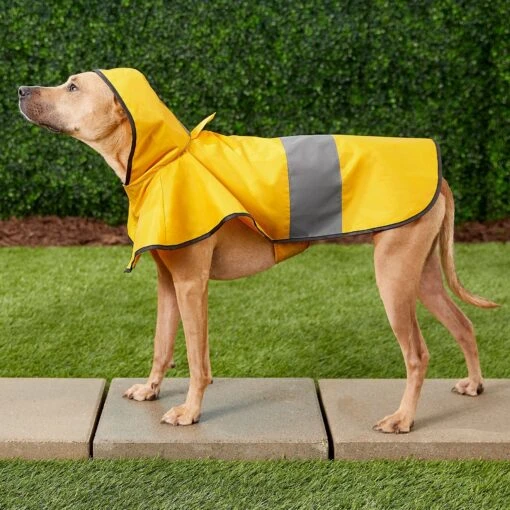 Frisco Lightweight Rainy Days Dog Raincoat -Cat Supply Store 119208 PT7. AC SS1800 V1540475377