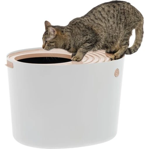 IRIS USA Round Top Entry Cat Litter Box & Scoop -Cat Supply Store 130345 MAIN. AC SS1800 V1680881193