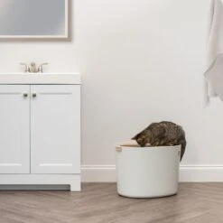 IRIS USA Round Top Entry Cat Litter Box & Scoop -Cat Supply Store 130345 PT2. AC SS1800 V1680881119