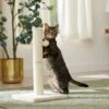 Frisco 21-in Sisal Cat Scratching Post With Toy -Cat Supply Store 140149 MAIN. AC SS1800 V1665765071