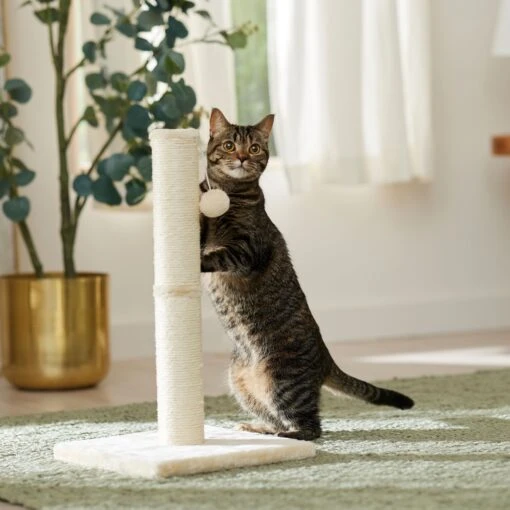 Frisco 21-in Sisal Cat Scratching Post With Toy -Cat Supply Store 140149 MAIN. AC SS1800 V1665765071