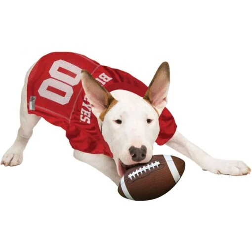 Pets First NCAA Dog & Cat Jersey, Ohio State Buckeyes -Cat Supply Store 142138 PT4. AC SS1800 V1538435585