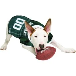 Pets First NCAA Dog & Cat Jersey, Michigan State Spartans -Cat Supply Store 142181 PT3. AC SS1800 V1538433426