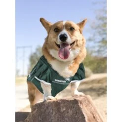 Pets First NCAA Dog & Cat Jersey, Michigan State Spartans -Cat Supply Store 142181 PT4. AC SS1800 V1538436040