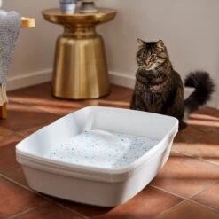 Frisco Summer Clean Scented Non-Clumping Crystal Cat Litter -Cat Supply Store 144146 PT4. AC SS1800 V1659023731