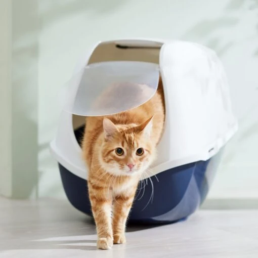 Frisco Hooded Cat Litter Box -Cat Supply Store 153376 MAIN. AC SS1800 V1675280052