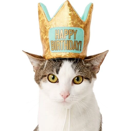 Frisco Happy Birthday Dog & Cat Crown -Cat Supply Store 153665 PT2. AC SS1800 V1551230979