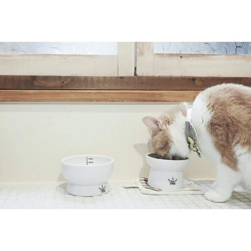 Necoichi Ceramic Elevated Cat Food & Water Bowl Set -Cat Supply Store 154902 PT2. AC SS1800 V1542038820