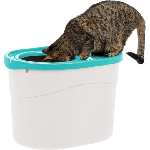 IRIS USA Large Round Top Entry Cat Litter Box & Scoop -Cat Supply Store 156874 MAIN. AC SS1800 V1680796042