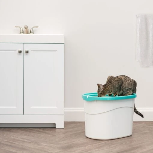 IRIS USA Large Round Top Entry Cat Litter Box & Scoop -Cat Supply Store 156874 PT2. AC SS1800 V1680811968