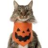 Frisco Jack O' Lantern Pumpkin Dog & Cat Bandana -Cat Supply Store 158934 MAIN. AC SS1800 V1669148132