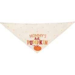 Frisco Mommy's Lil Pumpkin Dog & Cat Bandana -Cat Supply Store 158936 PT3. AC SS1800 V1689628812