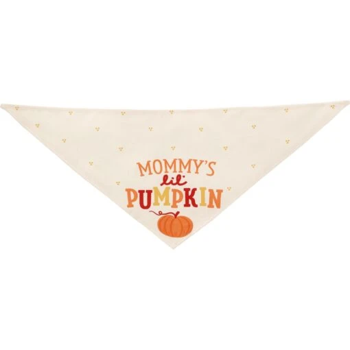 Frisco Mommy's Lil Pumpkin Dog & Cat Bandana -Cat Supply Store 158936 PT3. AC SS1800 V1689628812