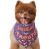 Frisco I Do Tricks For Treats Dog & Cat Bandana -Cat Supply Store 158938 MAIN. AC SS1800 V1633728989