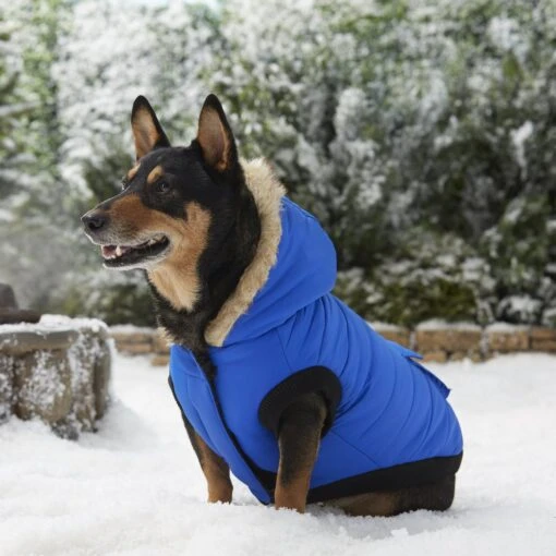 Frisco Heavyweight Anchorage Insulated Dog & Cat Parka -Cat Supply Store 160250 PT7. AC SS1800 V1567011259