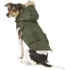 Frisco Mid-Heavyweight Portland Insulated Dog & Cat Parka -Cat Supply Store 160295 MAIN. AC SS1800 V1566999745