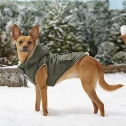 Frisco Mid-Heavyweight Portland Insulated Dog & Cat Parka -Cat Supply Store 160295 PT7. AC SS1800 V1567618265