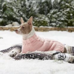 Frisco Ultra-Soft Marled Dog & Cat Sweater -Cat Supply Store 160636 PT5. AC SS1800 V1568061185