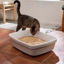 Frisco Pine Pellet Unscented Non-Clumping Wood Cat Litter -Cat Supply Store 161458 PT4. AC SS1800 V1659023182