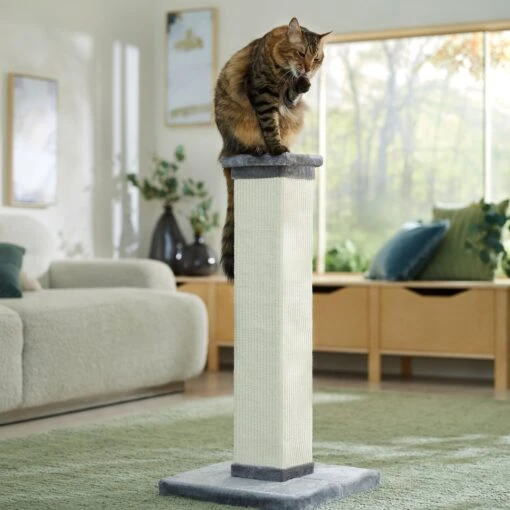 Frisco 33.5-in Sisal Cat Scratching Post -Cat Supply Store 163749 MAIN. AC SS1800 V1674156324