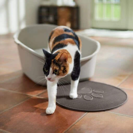 Frisco Shaped Cat Litter Mat -Cat Supply Store 166306 PT3. AC SS1800 V1675279990