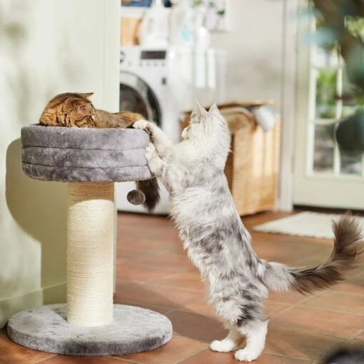 Frisco 24.8-in Heavy Duty Faux Fur Cat Tree -Cat Supply Store 169397 MAIN. AC SS1800 V1680808632