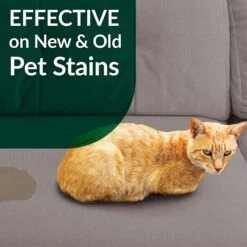 Simple Green Cat Stain & Odor Remover -Cat Supply Store 172629 PT6. AC SS1800 V1556823121