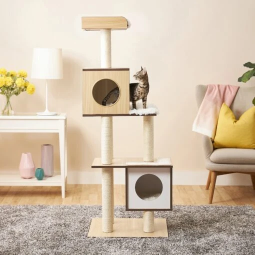 Frisco 62-in Modern Cat Tree & Condo -Cat Supply Store 177901 MAIN. AC SS1800 V1584451083