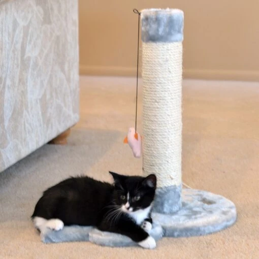 Armarkat 19-in Sisal Cat Scratching Post With Toy -Cat Supply Store 179081 PT2. AC SS1800 V1678228287