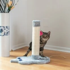 Armarkat 19-in Sisal Cat Scratching Post With Toy -Cat Supply Store 179081 PT5. AC SS1800 V1678285921