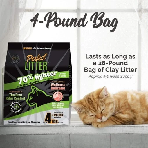 Pet Healthy Brands Perfect Cat Unscented Clumping Natural Cat Litter -Cat Supply Store 179209 PT1. AC SS1800 V1565788688