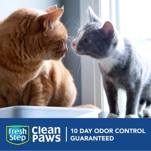 Fresh Step Clean Paws Simply Unscented Clumping Clay Cat Litter -Cat Supply Store 179540 PT1. AC SS1800 V1695149067