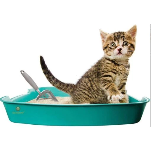 SunGrow Non-Stick Metal Scoop Kitty Box Cat Litter Scooper -Cat Supply Store 179562 PT2. AC SS1800 V1561406825