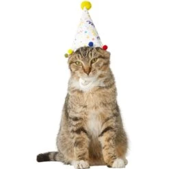 Frisco Confetti Dog & Cat Birthday Hat -Cat Supply Store 191274 PT2. AC SS1800 V1582053206