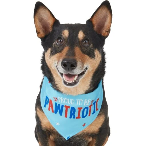 Frisco Pawtriot Dog & Cat Bandana -Cat Supply Store 191277 Main. AC SS1800 V1584623866