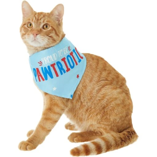 Frisco Pawtriot Dog & Cat Bandana -Cat Supply Store 191277 PT2. AC SS1800 V1584623825