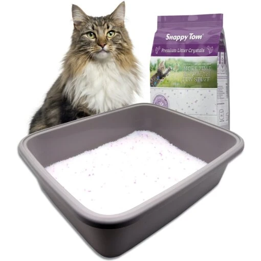 Snappy Tom Natural Lavender Scented Non-Clumping Crystal Cat Litter -Cat Supply Store 194437 PT2. AC SS1800 V1596809460