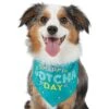 Frisco Happy Gotcha Day Dog & Cat Bandana -Cat Supply Store 200538 MAIN. AC SS1800 V1633085812