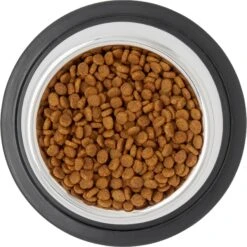 Frisco Stainless Steel Taper Non-Skid Cat Bowl -Cat Supply Store 204467 PT4. AC SS1800 V1599240133