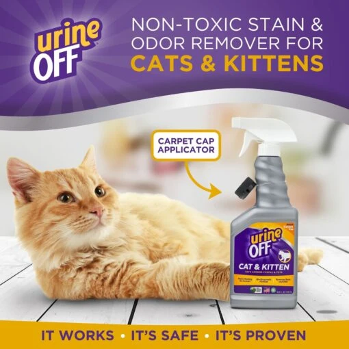 Urine Off Cat & Kitten Formula Stain & Odor Remover -Cat Supply Store 208352 PT3. AC SS1800 V1684342735